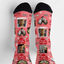 Calcetines con Cara de Perro Personalizados, Foto 