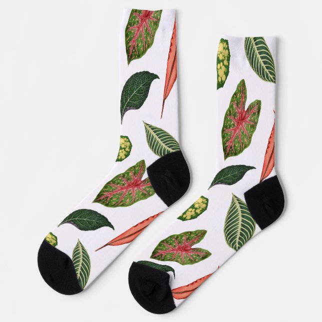 Calcetines con estampado de hojas de plantas vinta (Izquierda)