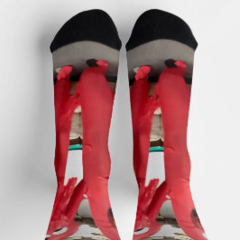 Calcetines con foto de los chicos del tubo inflabl
