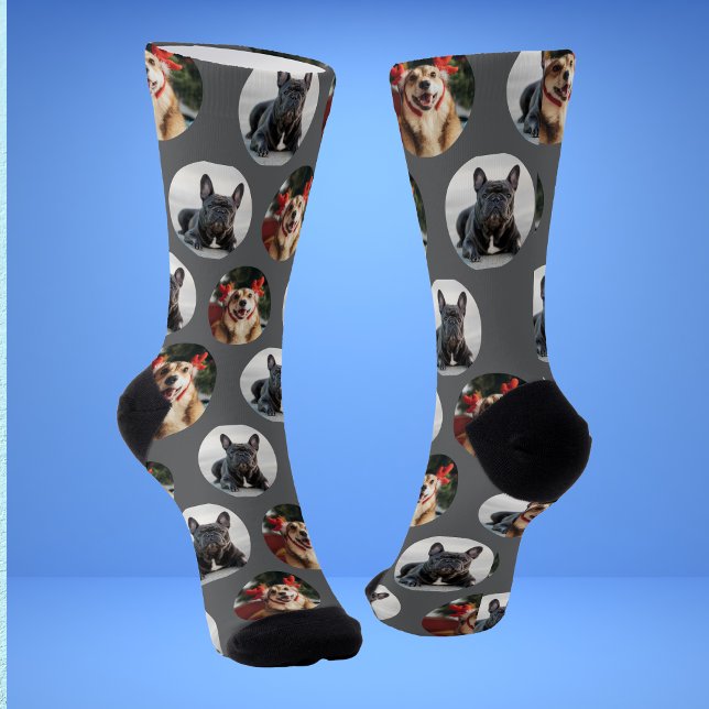 Calcetines con foto de perro 2 mascotas lindas (Subido por el creador)
