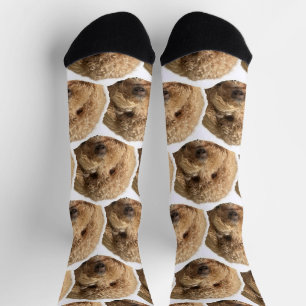 Calcetines con la cara de mascota personalizada pa