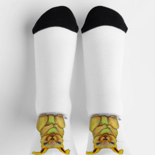 Calcetines Conejo de agua