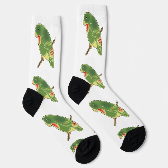 Calcetines Cotorra Verde Tropical Thunder_Cove (Derecha)
