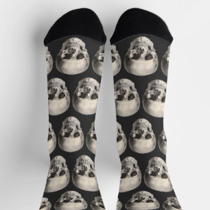 Calcetines Cráneo de anatomía humana vintage, esqueleto de Ha