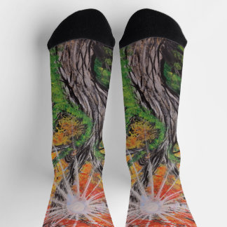 Calcetines crazy art chausettes