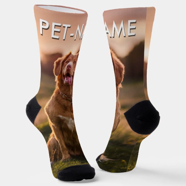 Calcetines Custom Photo With Your Pet Dog Name Picture On (Angular)