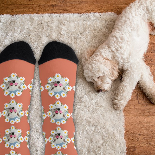 Calcetines Cute Daisies Custom Photo Pet Dog Lover Pink  (Subido por el creador)