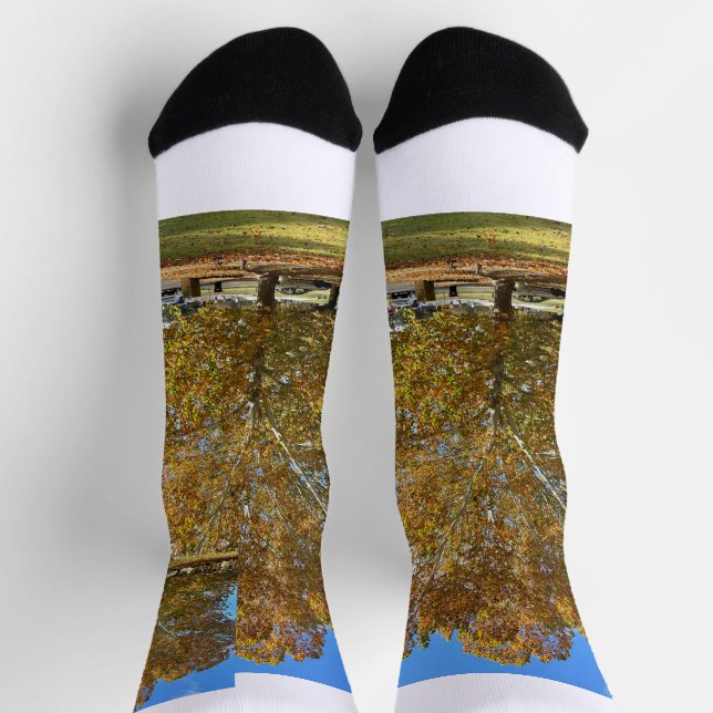 Calcetines de árbol (Arriba)