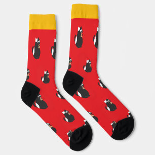 Calcetines de gato pizza