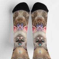 Calcetines de la tripulación del gato Ragdoll
