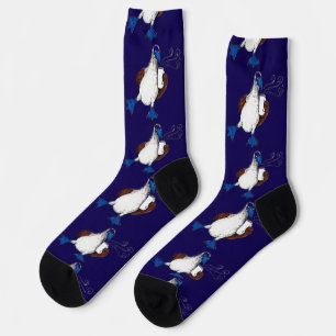 Calcetines de Pájaro de Pie Azul