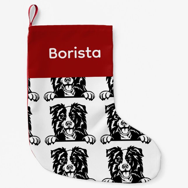 Calcetines de perro Collie de borde Socks de perro (Anverso)
