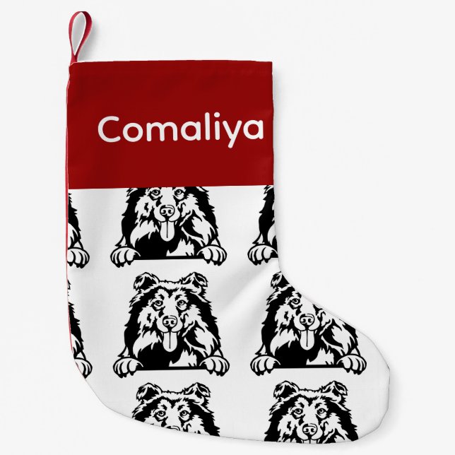 Calcetines de perro Collie Socks de perro personal (Anverso)