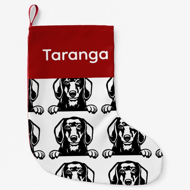 Calcetines de perro Dachshund Calcetines de perro  (Anverso)