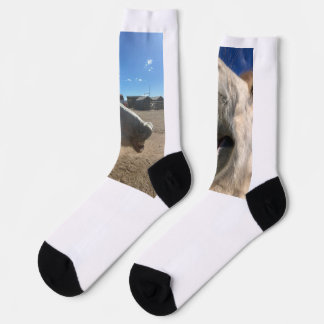 Calcetines de Sonrisas de Caballo