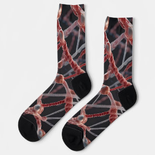 Calcetines del equipo de biología