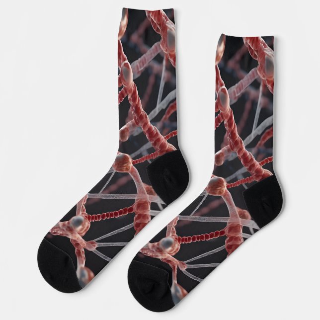 Calcetines del equipo de biología (Izquierda)