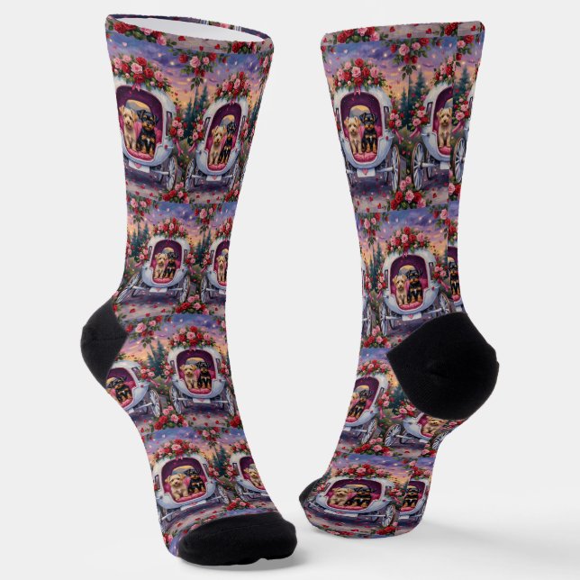 Calcetines Día de San Valentín del perro Affenpinscher (Angular)