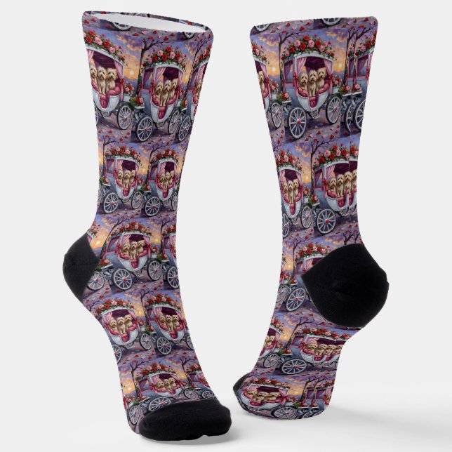Calcetines Día de San Valentín del perro Havanés  (Angular)