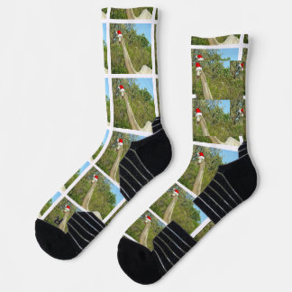 Calcetines Dinosaurios de Navidad Brontosaurio
