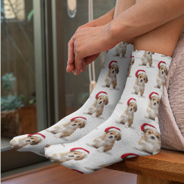 Calcetines divertidos con fotos de mascotas person
