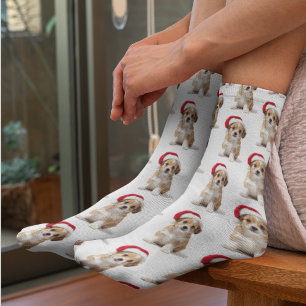 Calcetines divertidos con fotos de mascotas person