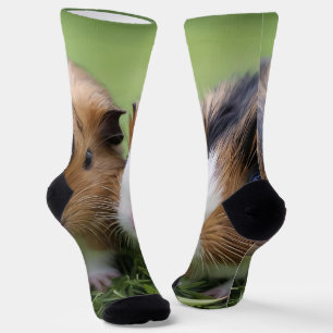 Calcetines Dos bebés Tortoiseshell Cerdos de Guinea,