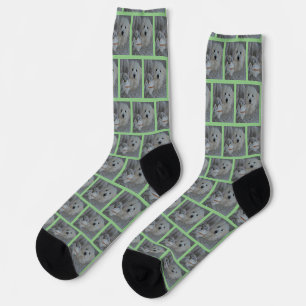 Calcetines Elegante equipo de jaulas con foto de perro y gato
