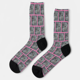 Calcetines Elegante equipo rosado elegante de fotos de perro 