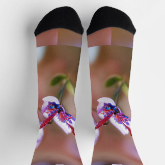 Calcetines equipos de control sustentable