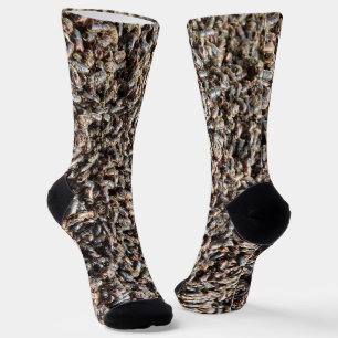 Calcetines escarabajo de la corteza del abeto europeo