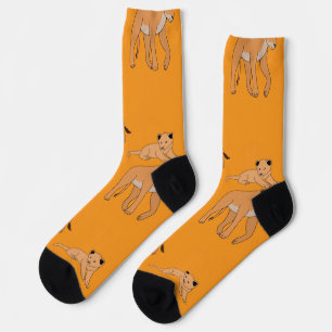 Calcetines Familia de leones