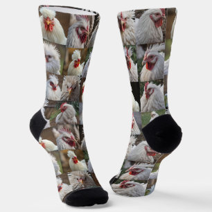 Calcetines "Feathers in Focus: Un retrato de pollo blanco"
