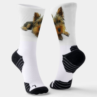 calcetines feos perro
