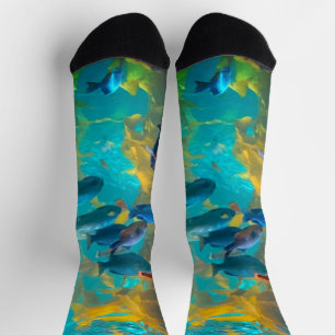 Calcetines Fish Tank