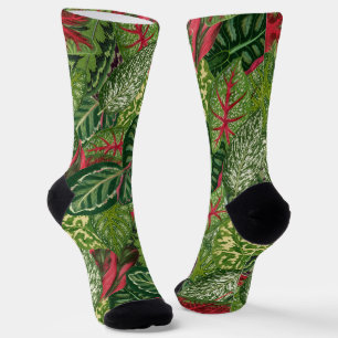 Calcetines Follaje