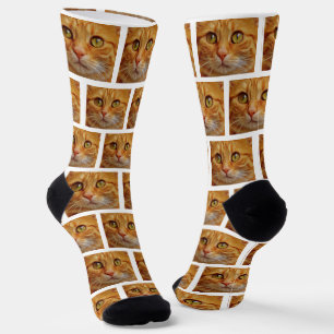Calcetines Foto de gato atigrado jengibre personalizada en ca