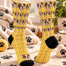 Foto de mascota personalizada con cuadros amarillo