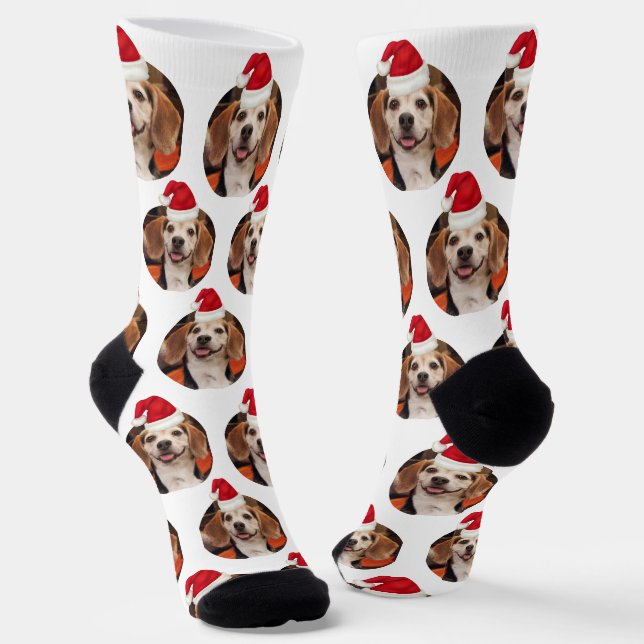 Calcetines Foto de mascota: Sombreros blancos rojos en la cab (Angular)