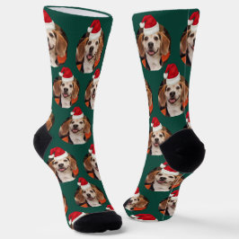 Calcetines Foto de Mascota verde esmeralda y sombreros de Pap