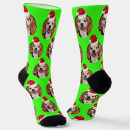 Calcetines Foto mascota de Neon Green Santa Hats en Navidades