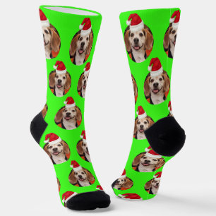 Calcetines Foto mascota de Neon Green Santa Hats en Navidades