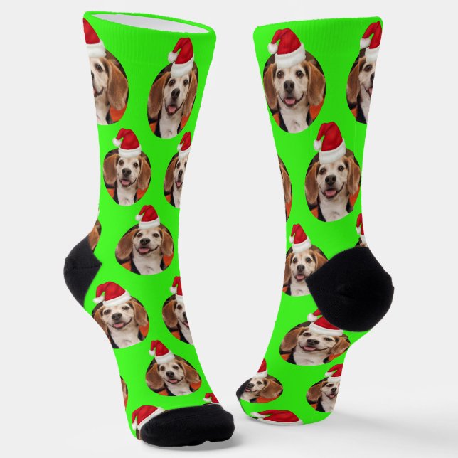 Calcetines Foto mascota de Neon Green Santa Hats en Navidades (Angular)