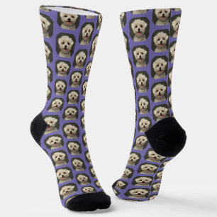 Calcetines Foto mascota en Lavender Personalizado de moda