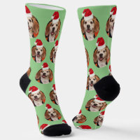 Foto mascota Sage Green Santa Hats Cute Navidades