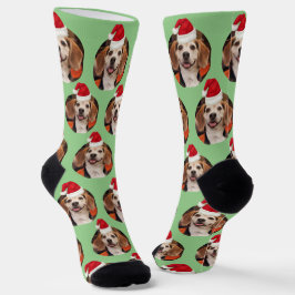 Calcetines Foto mascota Sage Green Santa Hats Cute Navidades