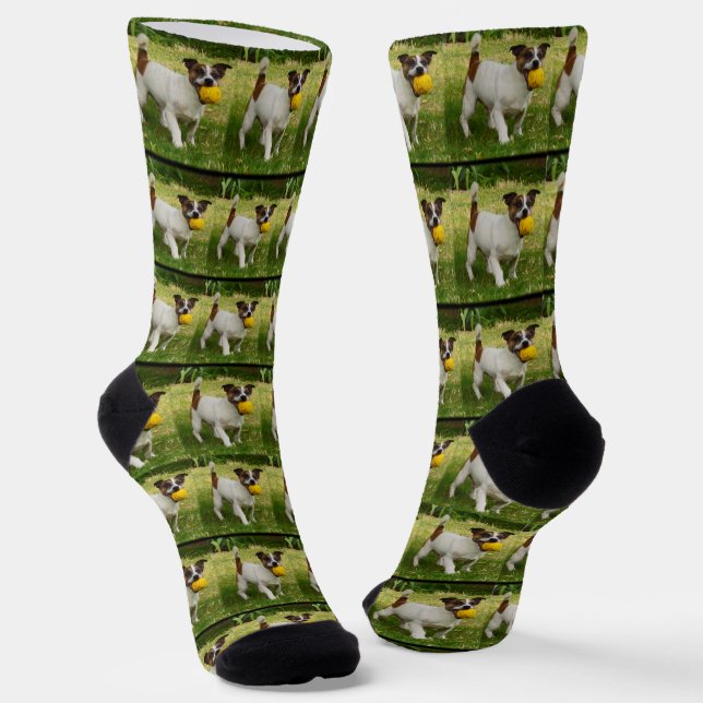 Calcetines Fox Terrier Con Su Patrón De Pelota, (Angular)