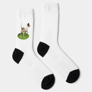 Calcetines Fox Terrier En Alerta,