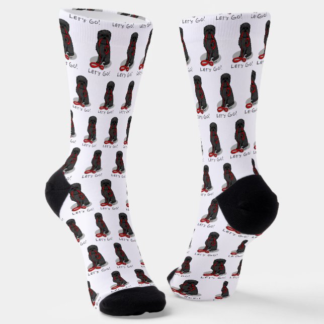Calcetines Funny Let's Go! Walk Affenpinscher (Black Natural) (Angular)