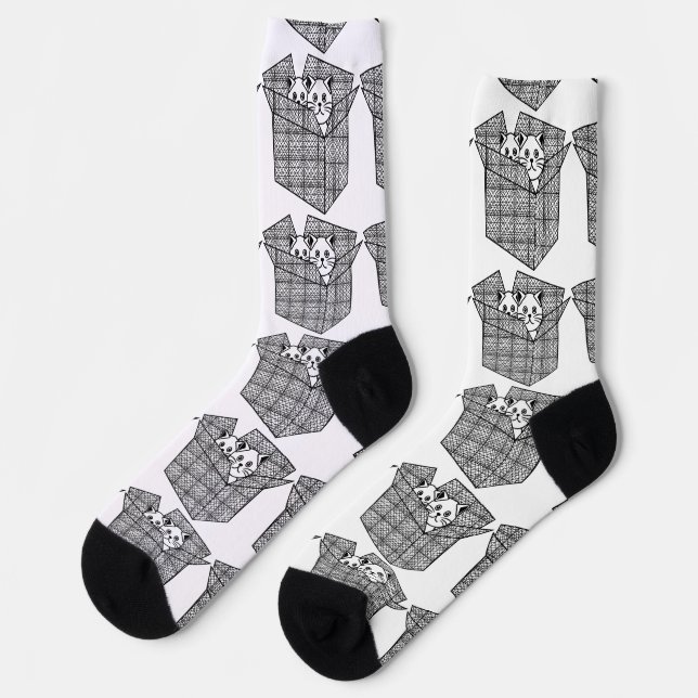 Calcetines Gatitos en una caja Thunder_Cove (Izquierda)